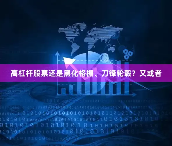 高杠杆股票还是黑化格栅、刀锋轮毂？又或者